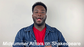 Midsummer Actors on Shakespeare